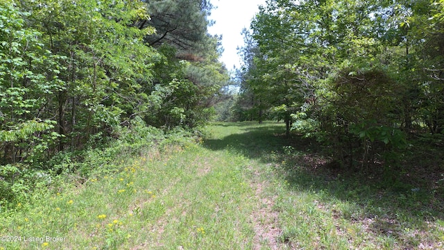 00 Eastview Rd, Eastview, KY 42732
