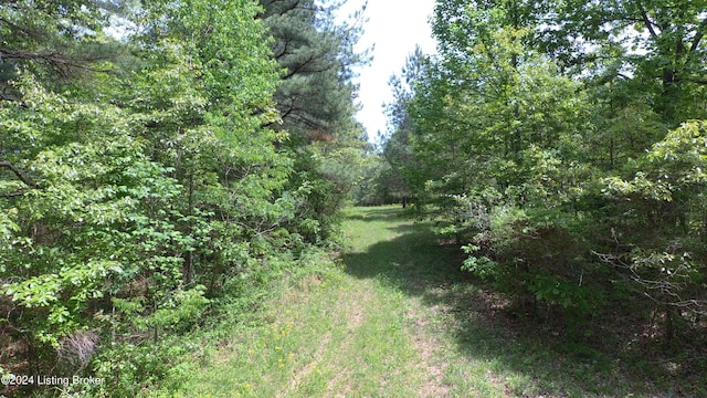 00 Eastview Rd, Eastview, KY 42732