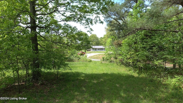 00 Eastview Rd, Eastview, KY 42732