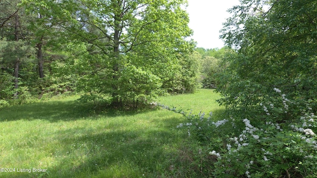 00 Eastview Rd, Eastview, KY 42732