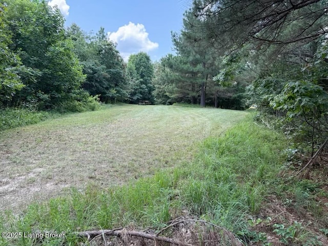 00 Eastview Rd, Eastview, KY 42732