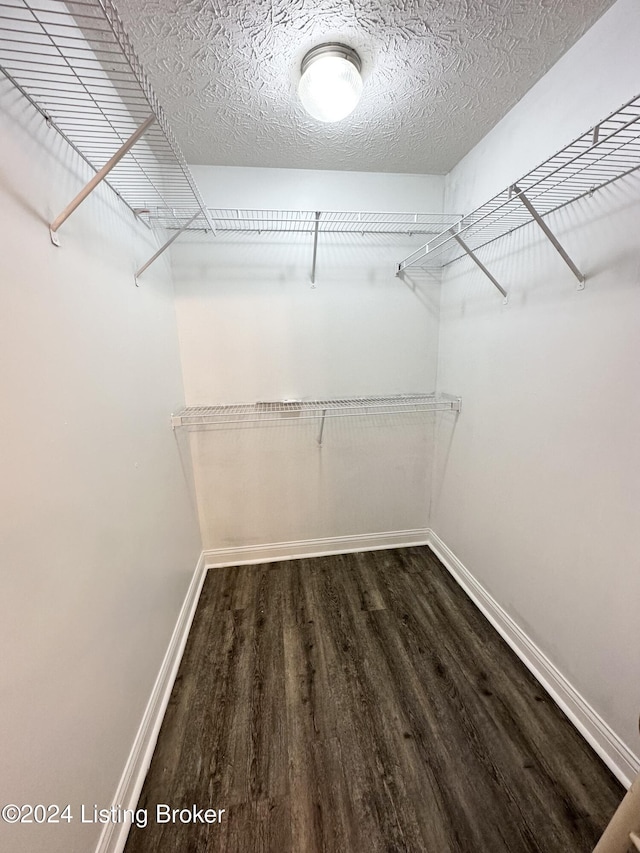 walk in closet featuring dark wood-type flooring