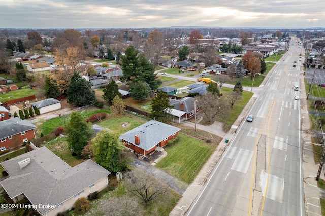 bird's eye view