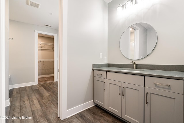 bathroom with hardwood / wood-style flooring and vanity