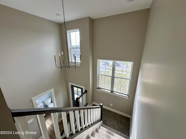 stairway with carpet floors and a healthy amount of sunlight