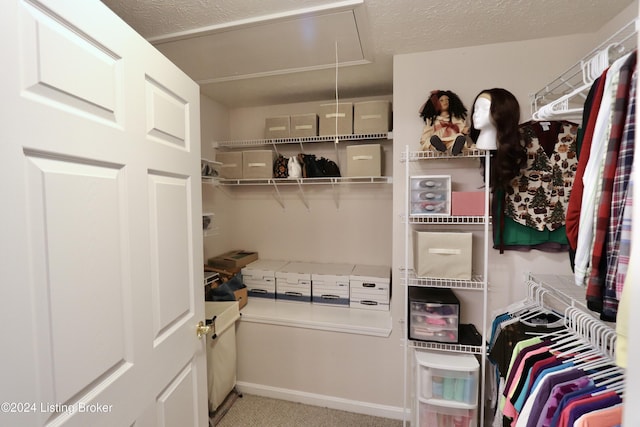 walk in closet featuring light carpet