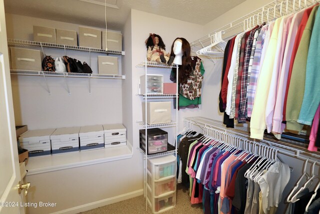 spacious closet featuring carpet flooring