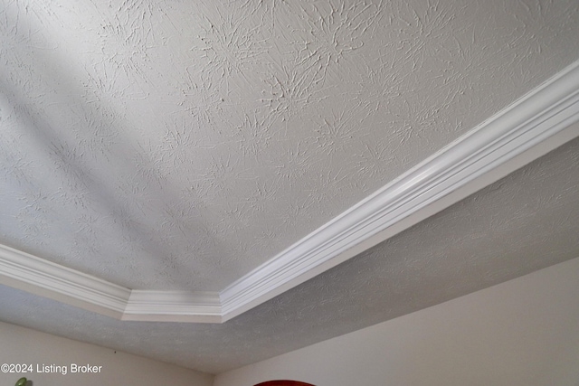 interior details featuring a textured ceiling, a tray ceiling, and crown molding