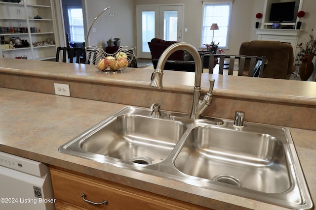 details with white dishwasher and sink