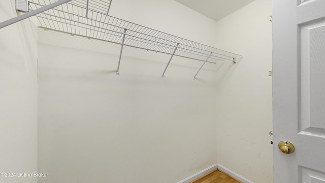 spacious closet with wood-type flooring