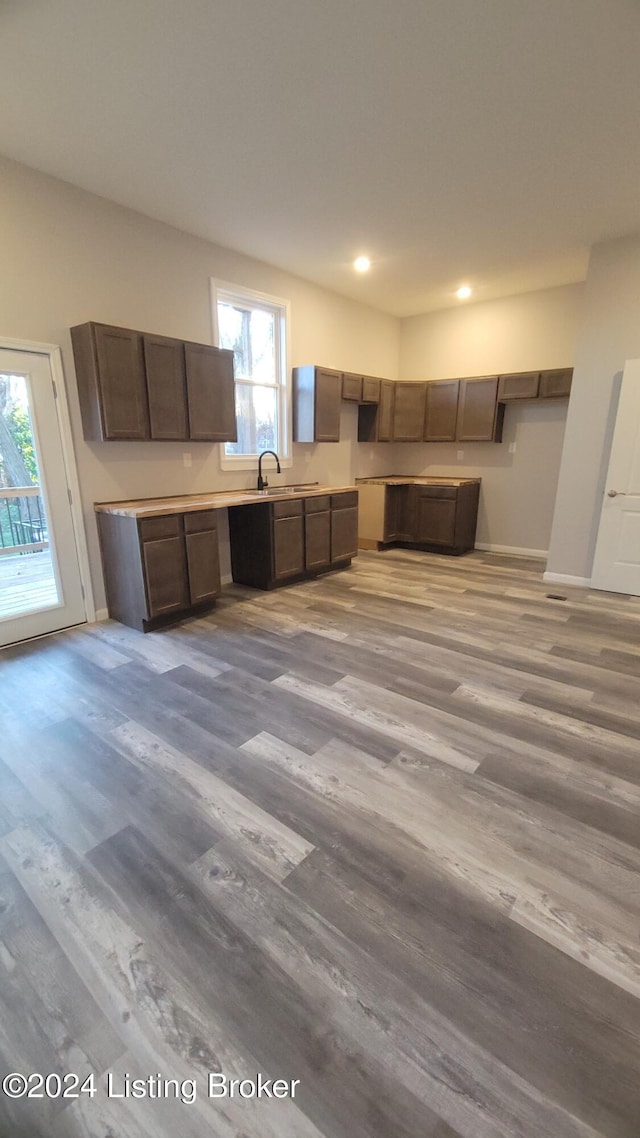 kitchen featuring light hardwood / wood-style floors, a healthy amount of sunlight, and sink