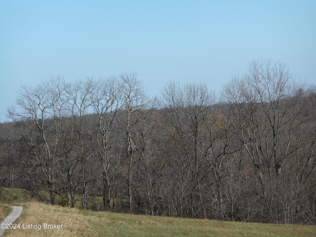 100 Patton Ln, Mount Eden, KY 40046 - photo 5