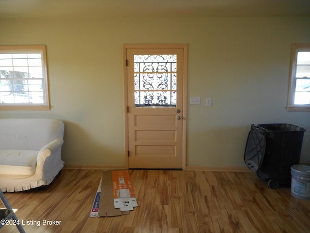 doorway to outside with hardwood / wood-style flooring and a wealth of natural light