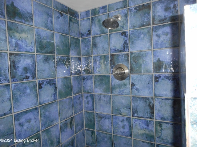 interior space with tiled shower