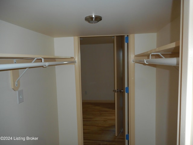 spacious closet with hardwood / wood-style flooring