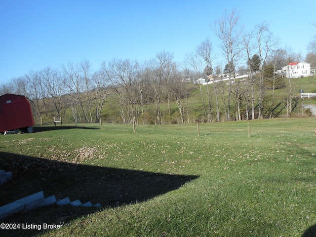 view of yard featuring a storage shed