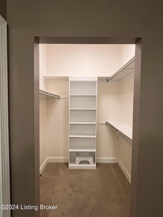 walk in closet with dark colored carpet