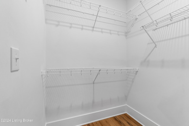 walk in closet featuring wood-type flooring