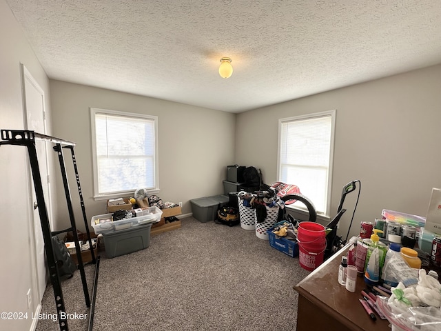 misc room with carpet floors and a textured ceiling