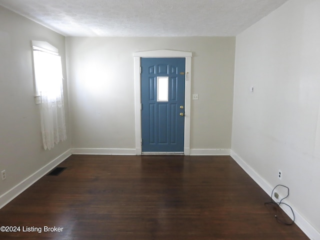 entrance foyer with a textured ceiling, dark hardwood / wood-style flooring, and a wealth of natural light