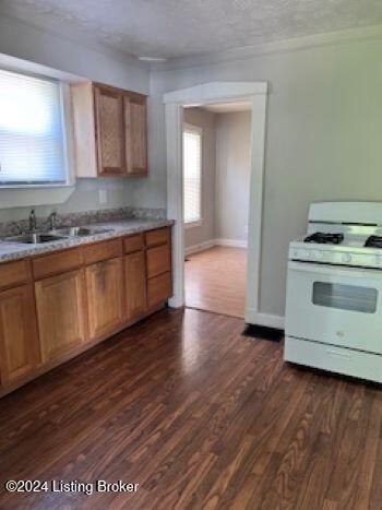 kitchen featuring white range with gas stovetop, dark hardwood / wood-style floors, a healthy amount of sunlight, and sink