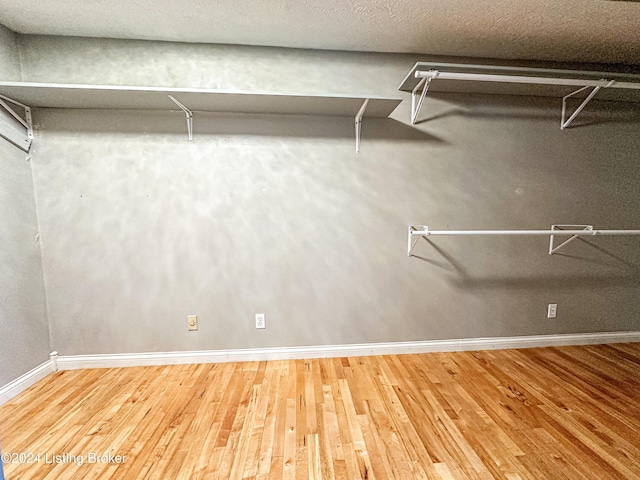 walk in closet with wood-type flooring