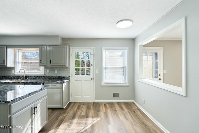 kitchen featuring tasteful backsplash, gray cabinetry, and a healthy amount of sunlight