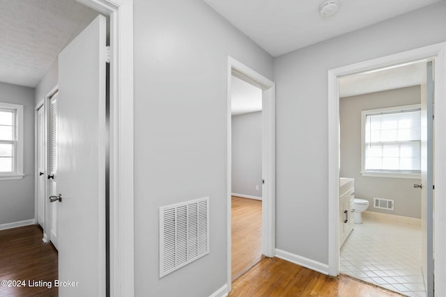 corridor with a healthy amount of sunlight and wood-type flooring