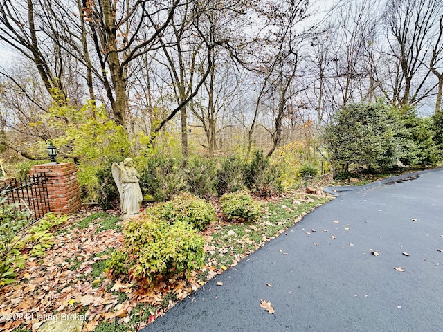 205 W Chestnut St, Leitchfield, KY 42754 - view of yard