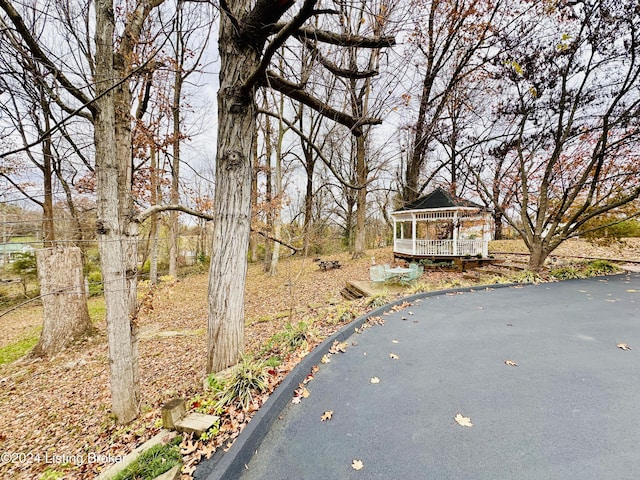 205 W Chestnut St, Leitchfield, KY 42754 - view of yard featuring a gazebo