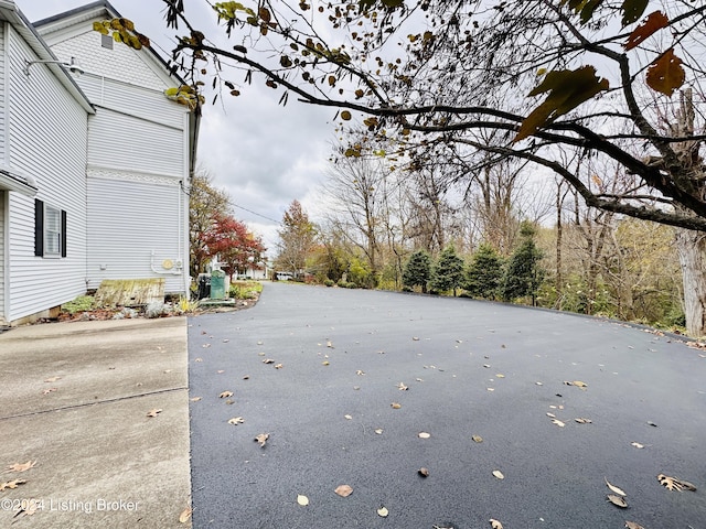 205 W Chestnut St, Leitchfield, KY 42754 - view of road