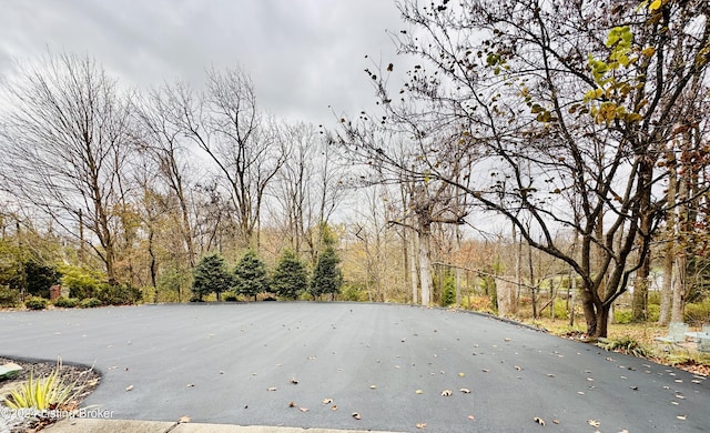 205 W Chestnut St, Leitchfield, KY 42754 - view of asphalt street