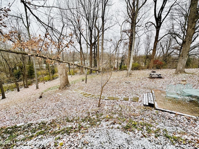 205 W Chestnut St, Leitchfield, KY 42754 - view of yard