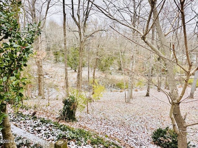 view of local wilderness