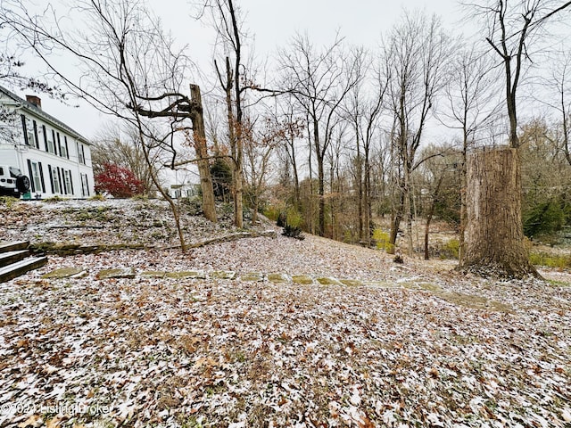 205 W Chestnut St, Leitchfield, KY 42754 - view of yard