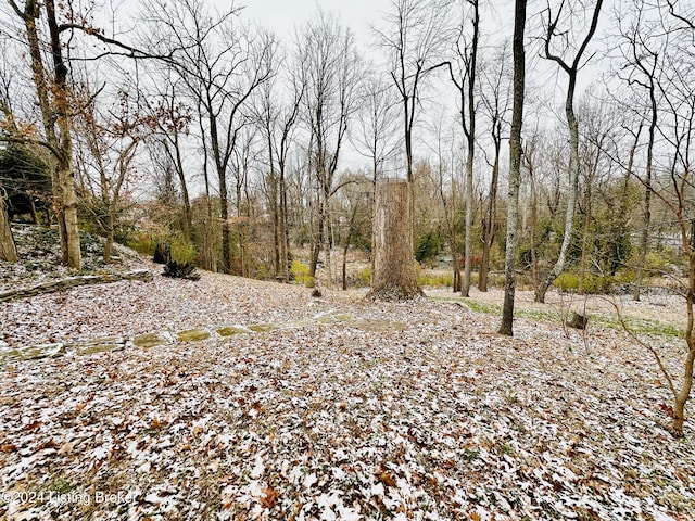 205 W Chestnut St, Leitchfield, KY 42754 - view of undeveloped land