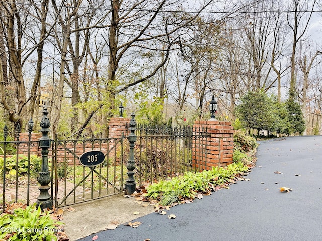 205 W Chestnut St, Leitchfield, KY 42754 - view of gate