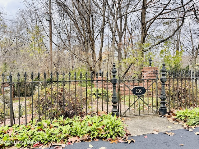 205 W Chestnut St, Leitchfield, KY 42754 - view of gate