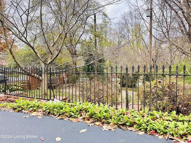 205 W Chestnut St, Leitchfield, KY 42754 - view of yard