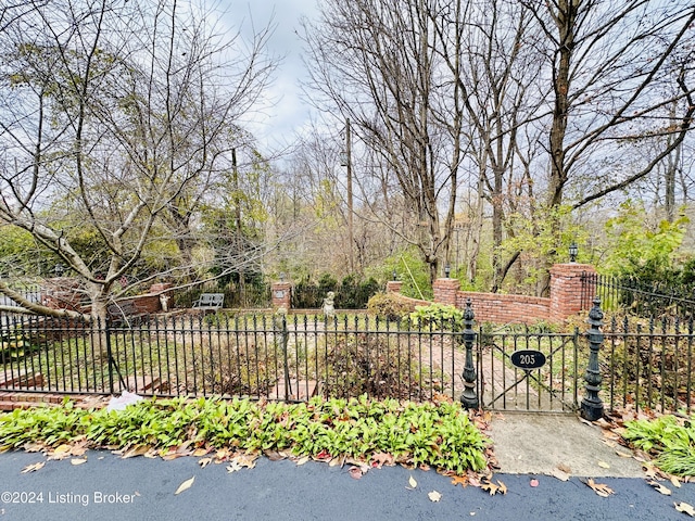 205 W Chestnut St, Leitchfield, KY 42754 - view of yard