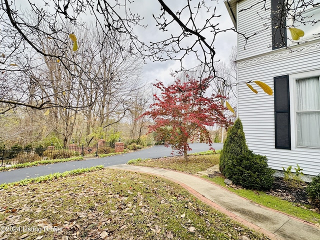 205 W Chestnut St, Leitchfield, KY 42754 - view of yard