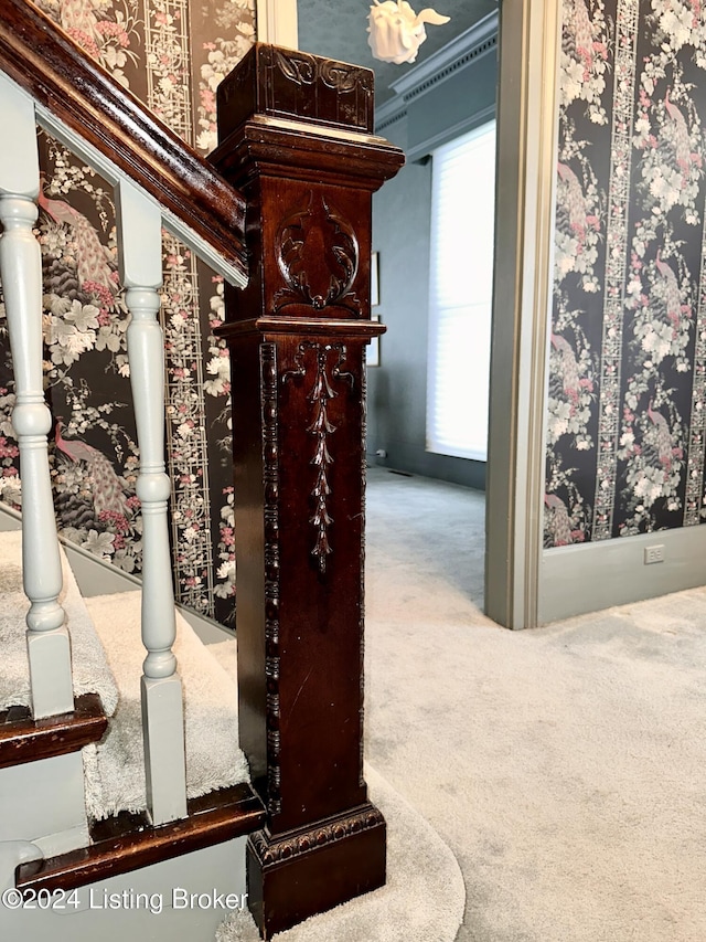 details featuring carpet floors and ornamental molding