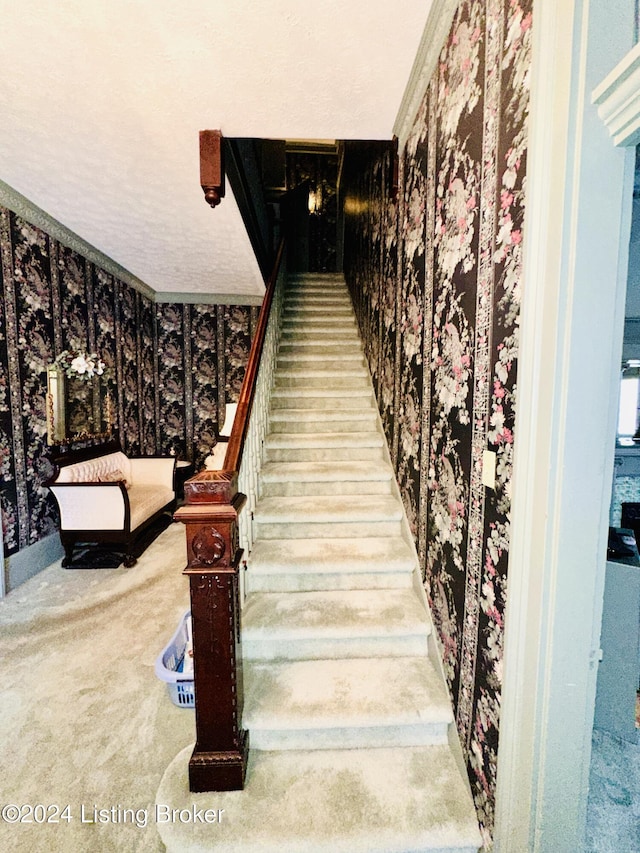 205 W Chestnut St, Leitchfield, KY 42754 - stairway with wallpapered walls and carpet floors