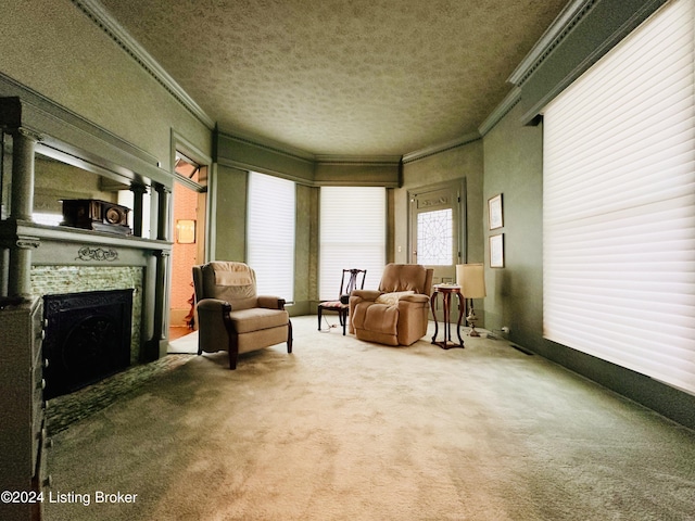 205 W Chestnut St, Leitchfield, KY 42754 - sitting room with ornamental molding, carpet floors, a fireplace, and a textured ceiling