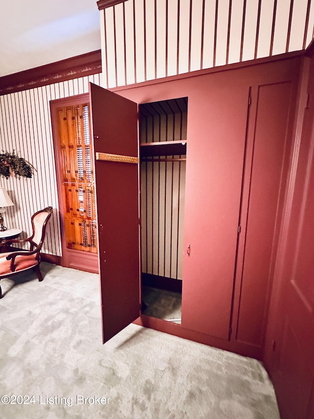 205 W Chestnut St, Leitchfield, KY 42754 - view of closet