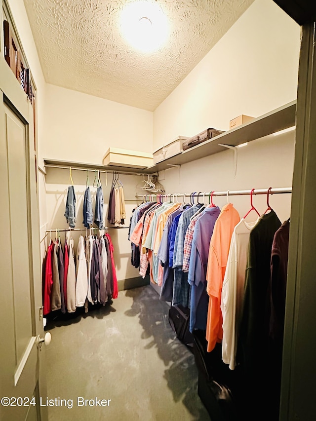 spacious closet with carpet floors