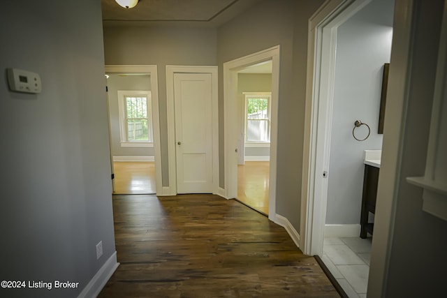 hall featuring dark hardwood / wood-style floors