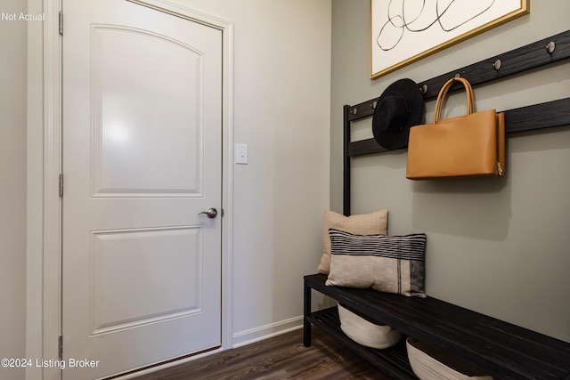 mudroom featuring dark wood-type flooring