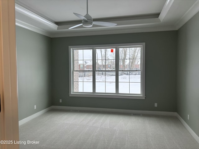 spare room with light carpet, a tray ceiling, and a wealth of natural light