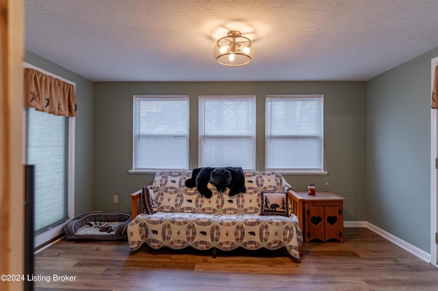 sitting room with wood-type flooring and a textured ceiling